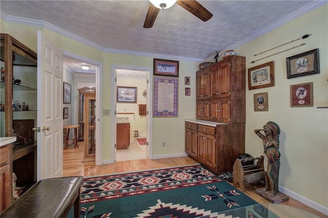 354 Starcross Ln, Jasper, GA 30143 - interior space featuring light wood-type flooring, baseboards, ornamental molding, and a textured ceiling