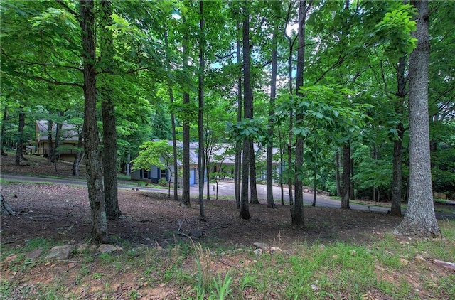 354 Starcross Ln, Jasper, GA 30143 - view of nature