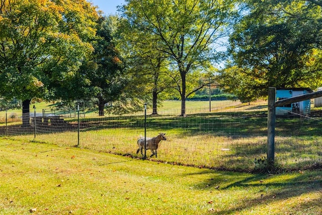 view of yard featuring a rural view