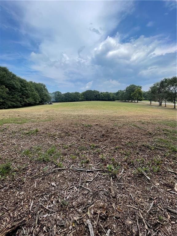 0 Union Point Rd, Lexington GA, 30648 land for sale