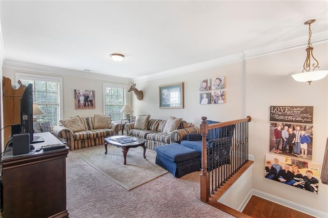 466 Sweet Apple Ln, Buford, GA 30518 - living room featuring crown molding and baseboards
