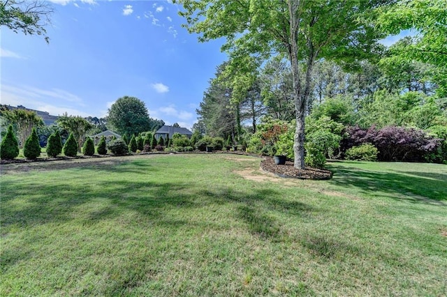 9440 Knollcrest Blvd, Alpharetta, GA 30022 - view of grassy yard