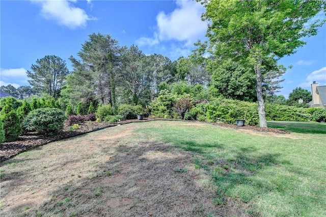 9440 Knollcrest Blvd, Alpharetta, GA 30022 - view of grassy yard