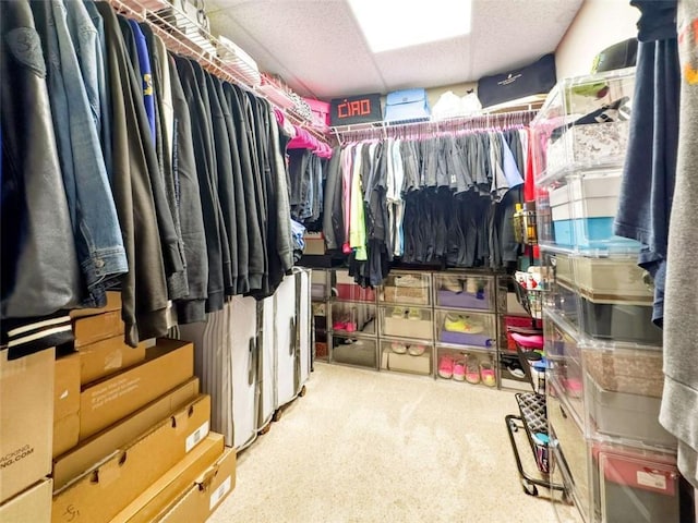 spacious closet featuring carpet