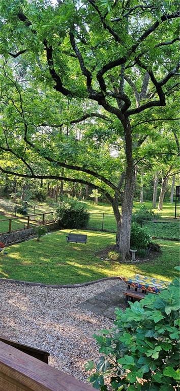 2511 Oak Ave, Tucker, GA 30084 - view of grassy yard