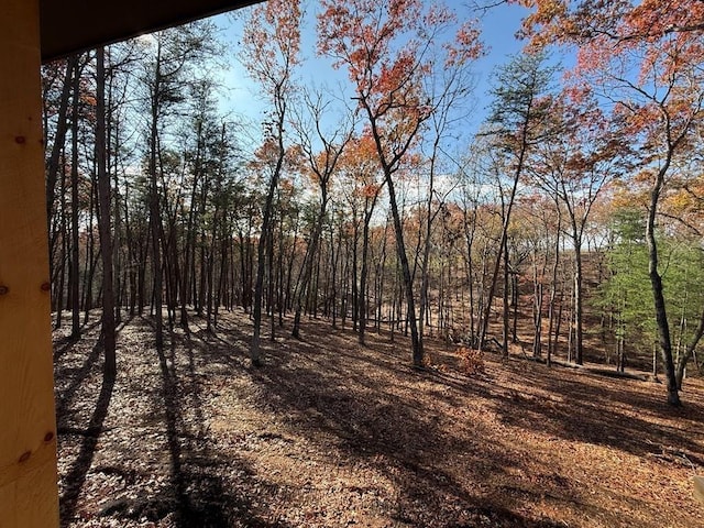 view of landscape