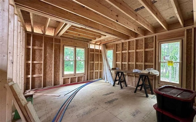 miscellaneous room with a wealth of natural light