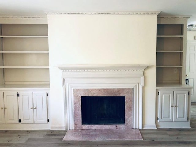 room details featuring wood-type flooring, a fireplace, and built in shelves