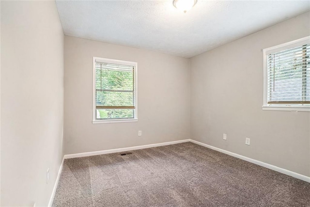 4442 Cedar Ridge Trl, Stone Mountain, GA 30083 - empty room with carpet and a textured ceiling