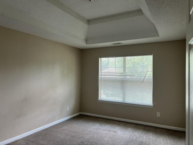 6157 Redtop Loop, Fairburn, GA 30213 - carpeted empty room with a textured ceiling and a raised ceiling
