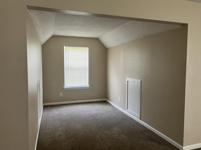 6157 Redtop Loop, Fairburn, GA 30213 - additional living space featuring carpet flooring, lofted ceiling, and a textured ceiling
