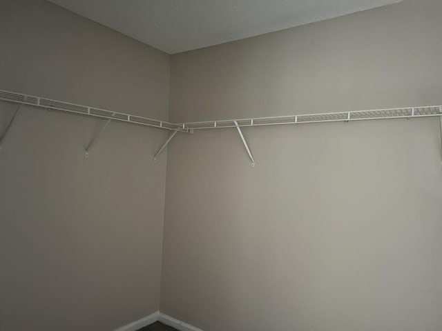 6157 Redtop Loop, Fairburn, GA 30213 - view of walk in closet