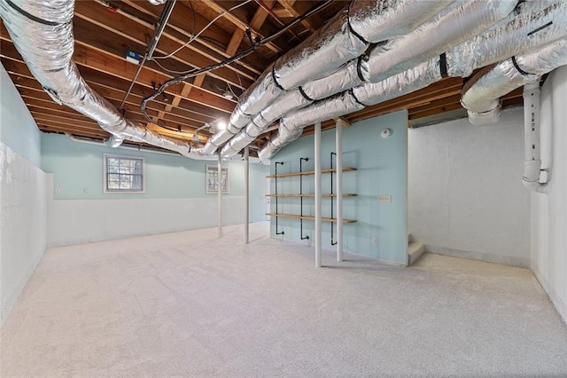 basement featuring carpet floors