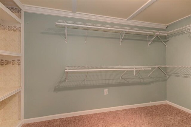 189 Meadow Spring Dr, Temple, GA 30179 - walk in closet with carpet floors