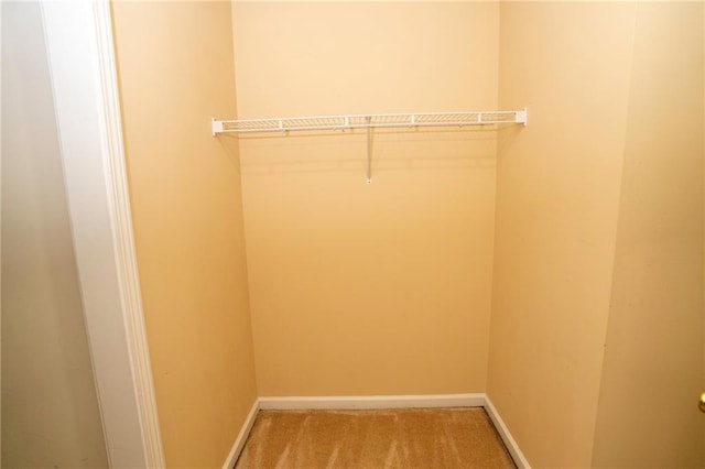 spacious closet with light colored carpet