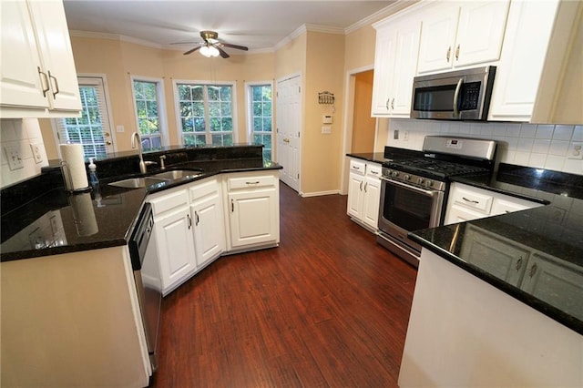 994 Rolling Forest Ln, Lilburn, GA 30047 - kitchen with appliances with stainless steel finishes, a sink, dark wood-type flooring, ceiling fan, and ornamental molding