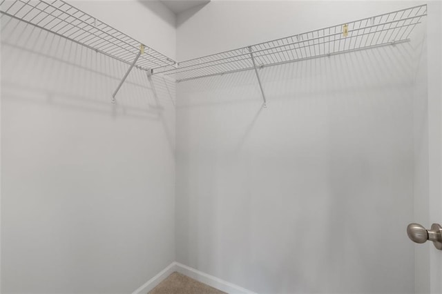 2537 Sori Dr, Buford, GA 30519 - spacious closet with carpet