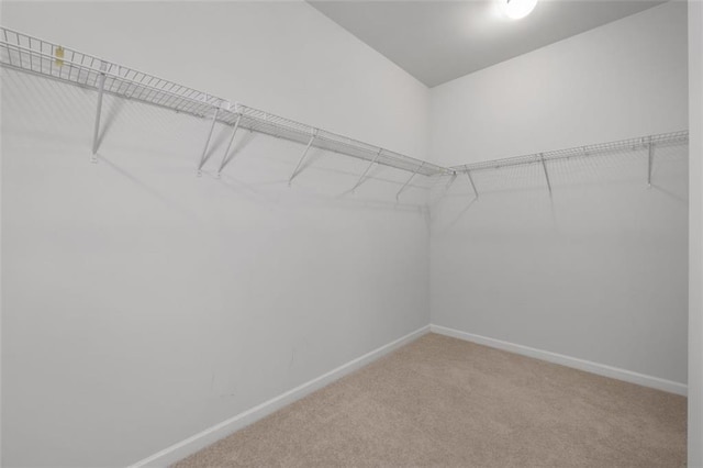 2537 Sori Dr, Buford, GA 30519 - spacious closet with light colored carpet