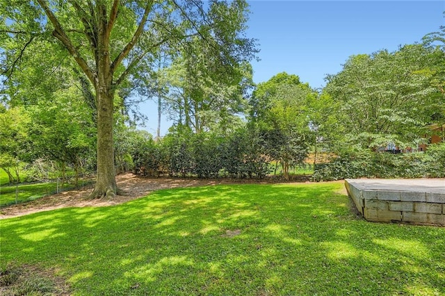 739 Pinehill Dr SE, Smyrna, GA 30080 - view of green lawn