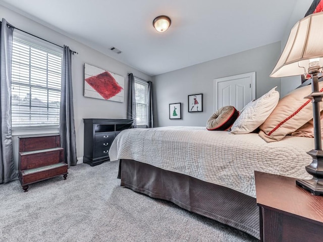 1076 Pinyan Ln, Canton, GA 30115 - bedroom featuring carpet