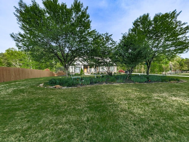 1076 Pinyan Ln, Canton, GA 30115 - view of yard