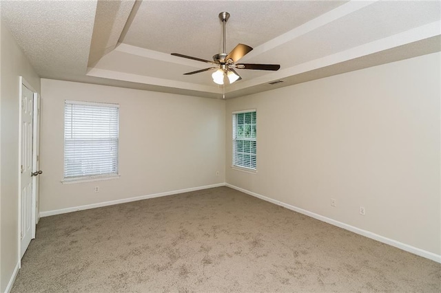 137 Legend Creek Dr, Canton, GA 30114 - unfurnished room featuring a tray ceiling, carpet, baseboards, and a textured ceiling