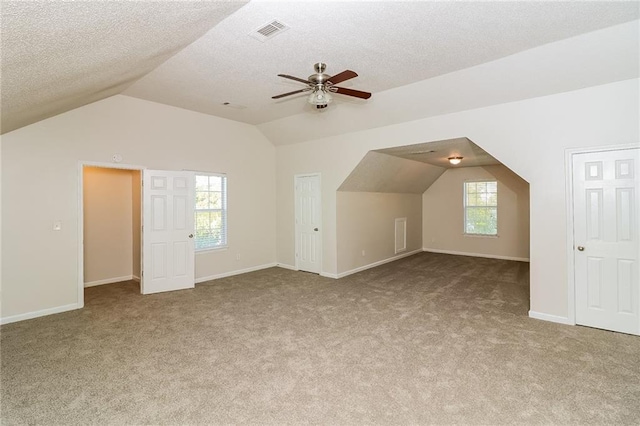 137 Legend Creek Dr, Canton, GA 30114 - additional living space with carpet flooring, vaulted ceiling, ceiling fan, healthy amount of natural light, and a textured ceiling