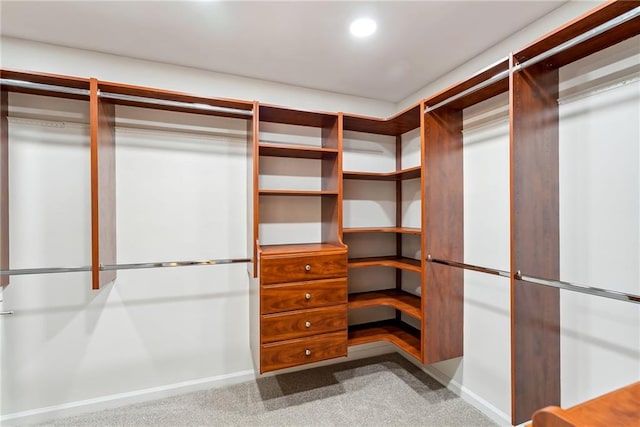 spacious closet featuring carpet