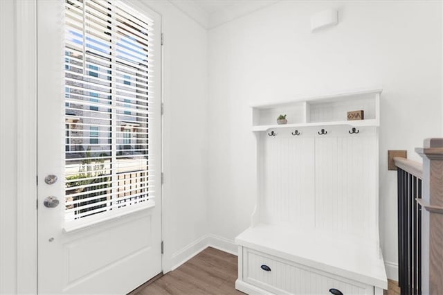 mudroom with wood-type flooring and plenty of natural light