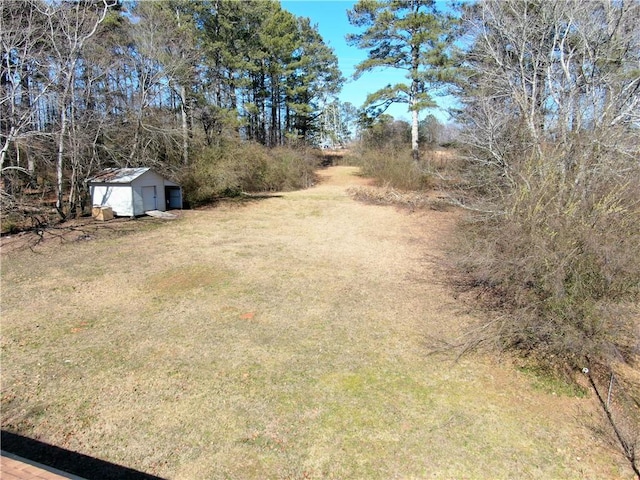 view of yard with a storage unit