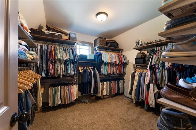 4 Bluff Ct, Cartersville, GA 30120 - spacious closet with carpet floors