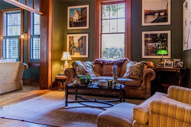 living area featuring wood finished floors