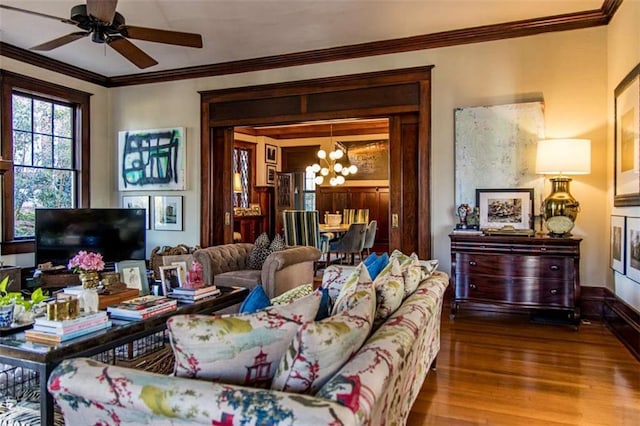 living area featuring ceiling fan with notable chandelier, wood finished floors, and ornamental molding