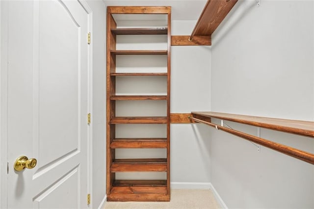 spacious closet with light carpet