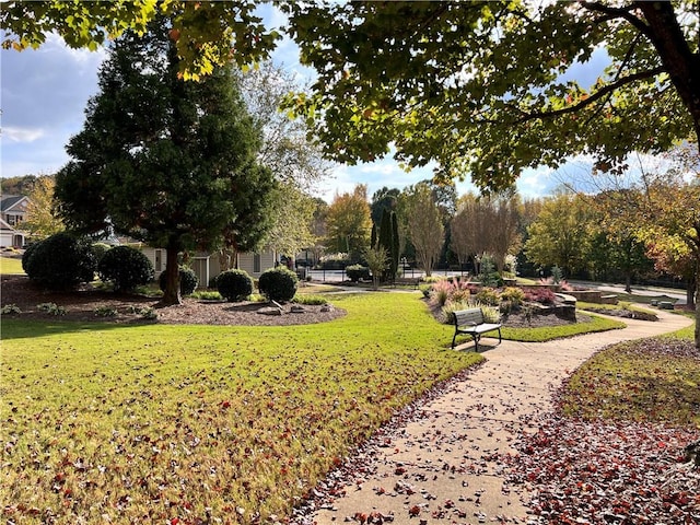 view of property's community with a yard