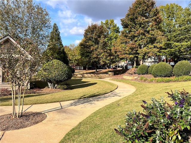 view of property's community featuring a lawn