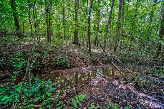 00 Borrow Pit Rd, Douglasville, GA 30134