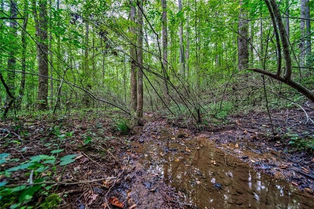 00 Borrow Pit Rd, Douglasville, GA 30134