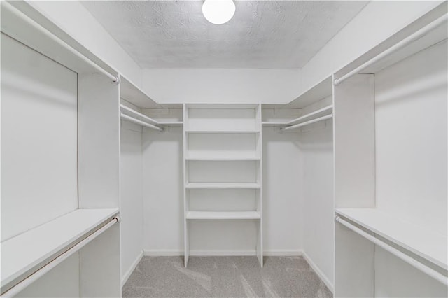 spacious closet featuring light carpet