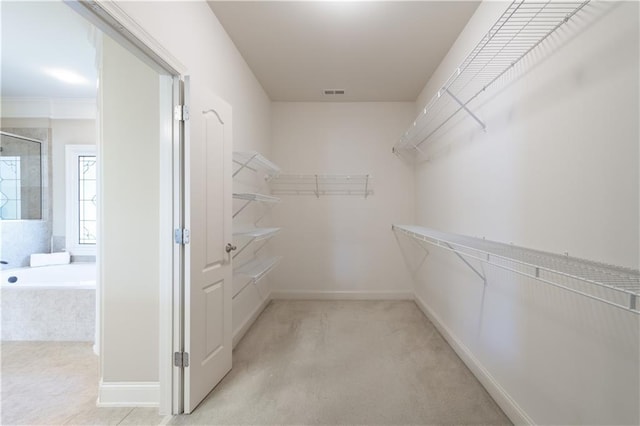 walk in closet with visible vents and carpet floors