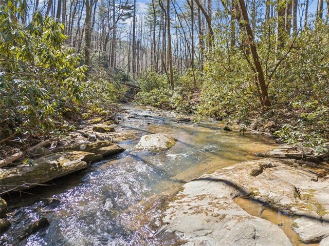 101 Evening Shade, Clayton, GA 30525 - view of landscape with a view of trees