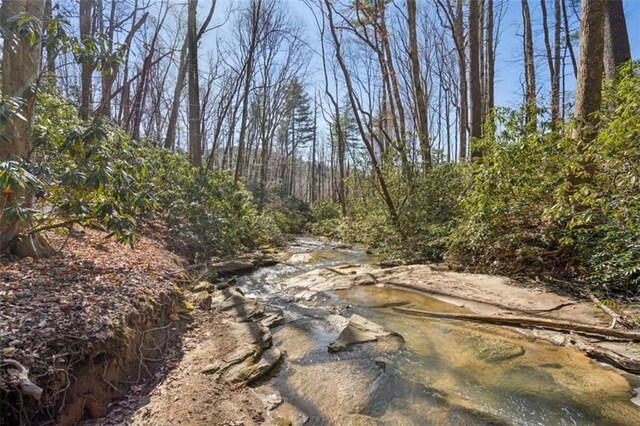 101 Evening Shade, Clayton, GA 30525 - view of landscape with a wooded view