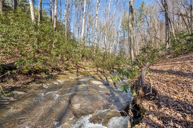 101 Evening Shade, Clayton, GA 30525 - view of nature featuring a forest view