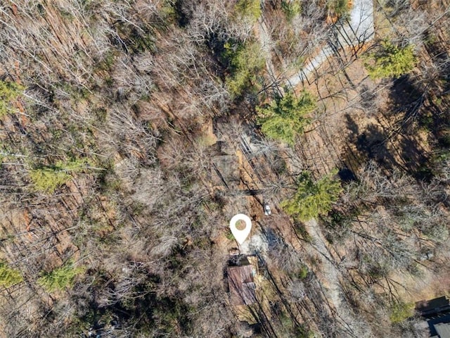 101 Evening Shade, Clayton, GA 30525 - bird's eye view