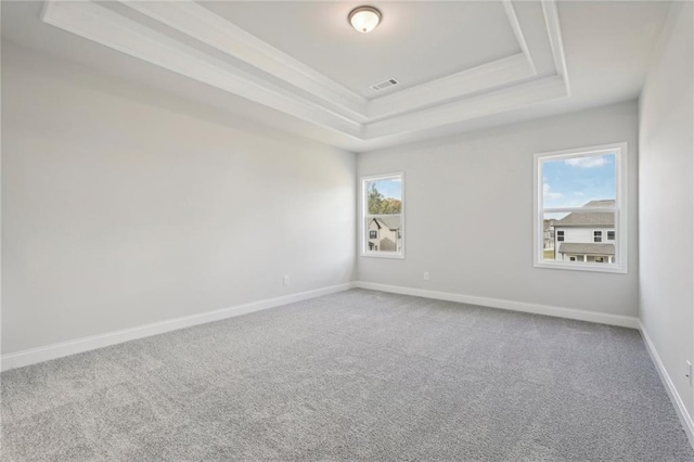 unfurnished room with carpet flooring and a tray ceiling