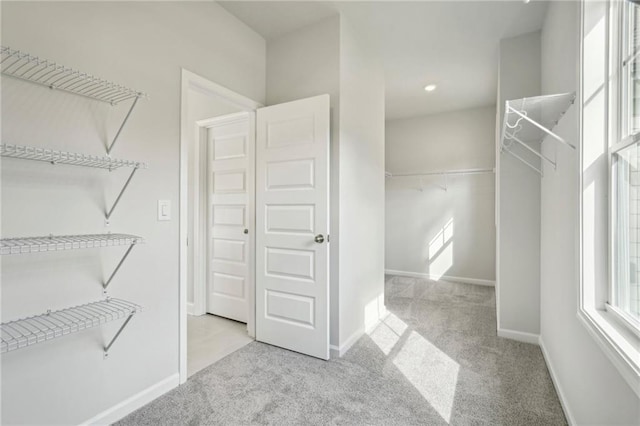 spacious closet featuring light colored carpet