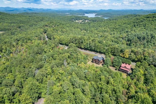 birds eye view of property featuring a mountain view