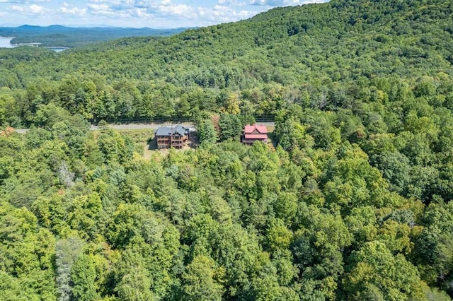 bird's eye view featuring a mountain view