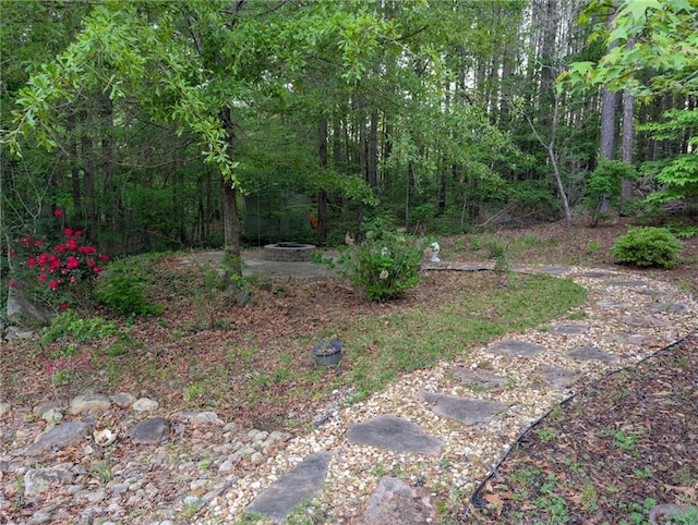 view of yard featuring a forest view