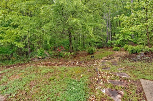 view of yard featuring a wooded view